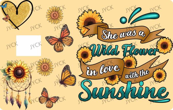 BC4668